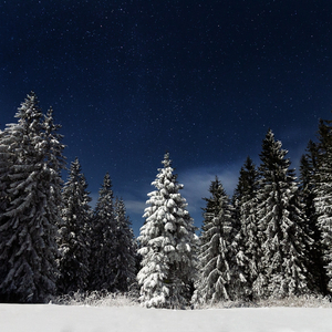 做爱视频哔哩哔哩
