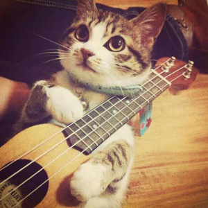 做爱视频哔哩哔哩
