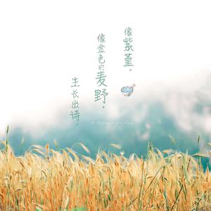 做爱视频哔哩哔哩
